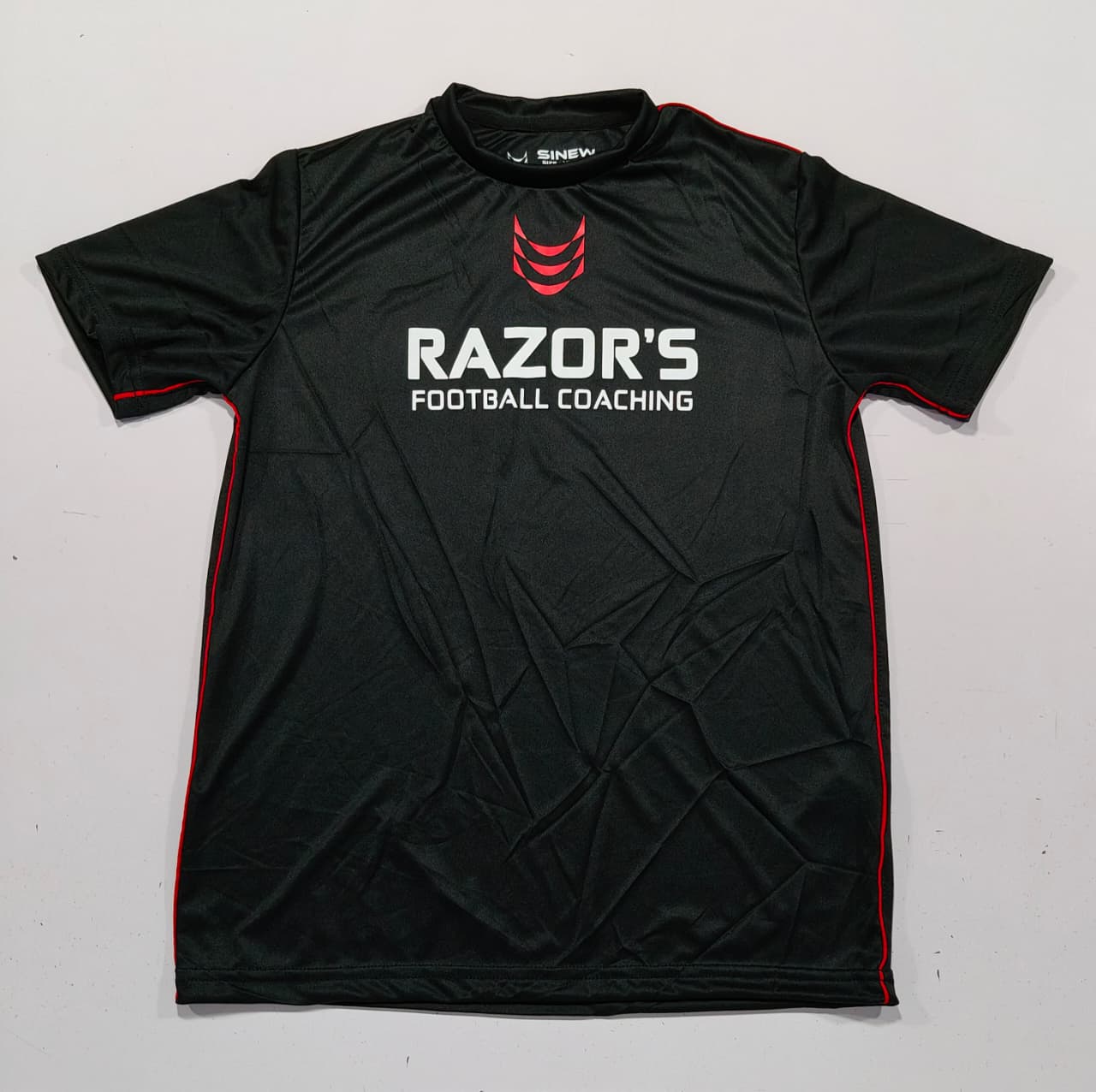 Razor's Coaching ''One Team'' Training Shirt 2025/26