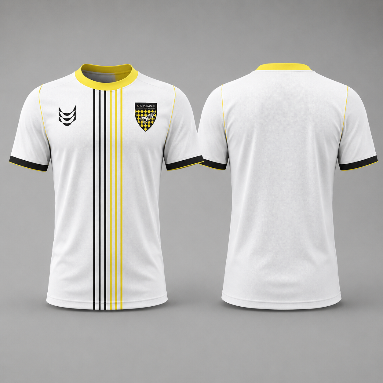 Pegasus Warm up T